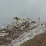 photo 1430063992682 8a301f946642